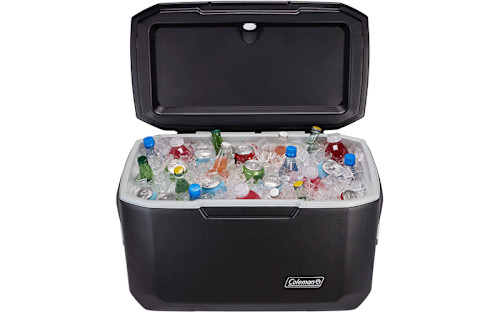 Best 2024 drink cooler