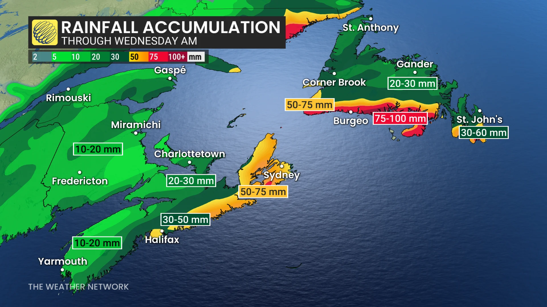 Newfoundland rainfall totals through Wednesday morning