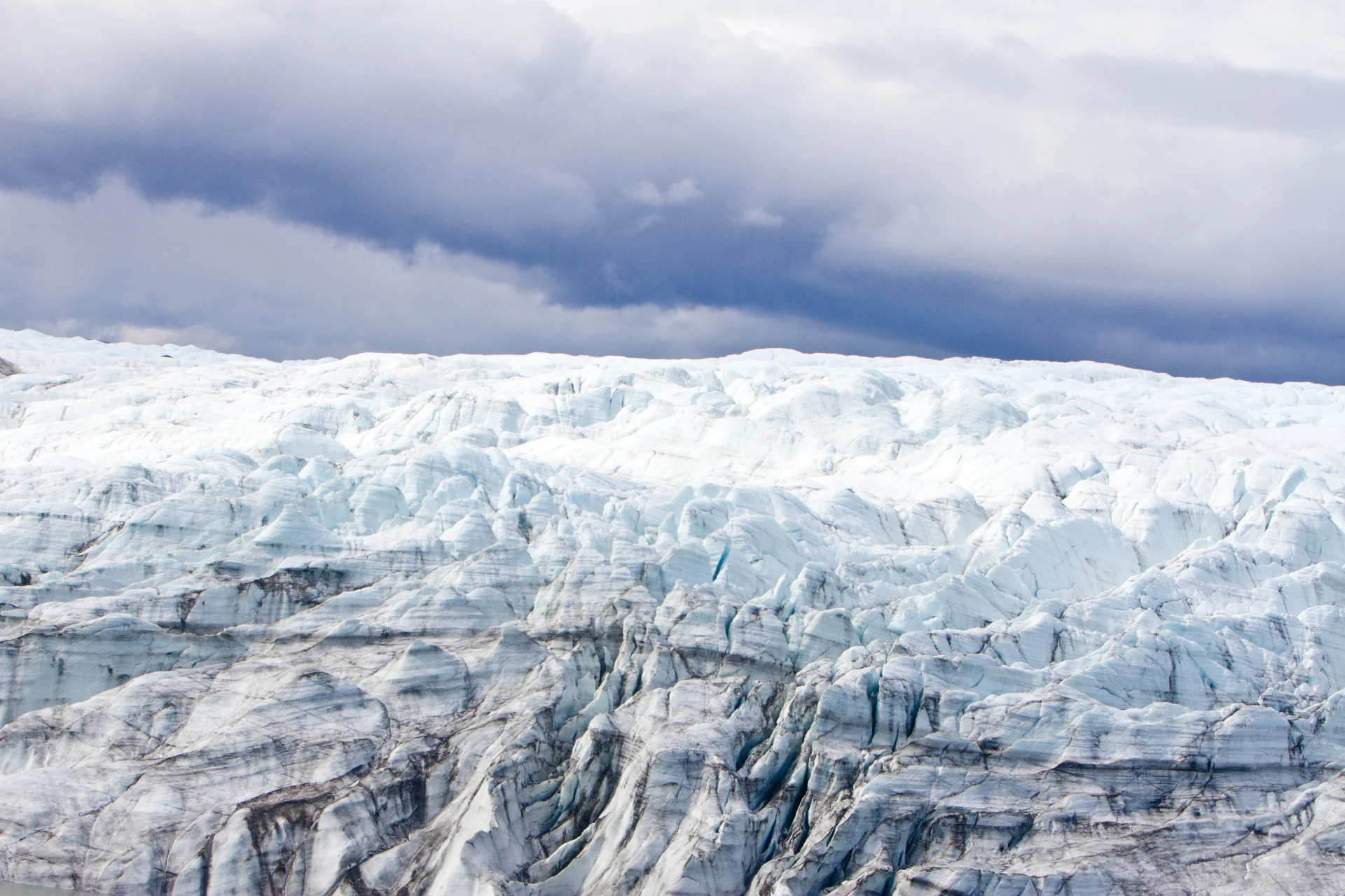 Scientists shocked to discover plants under mile-deep ​Greenland ice