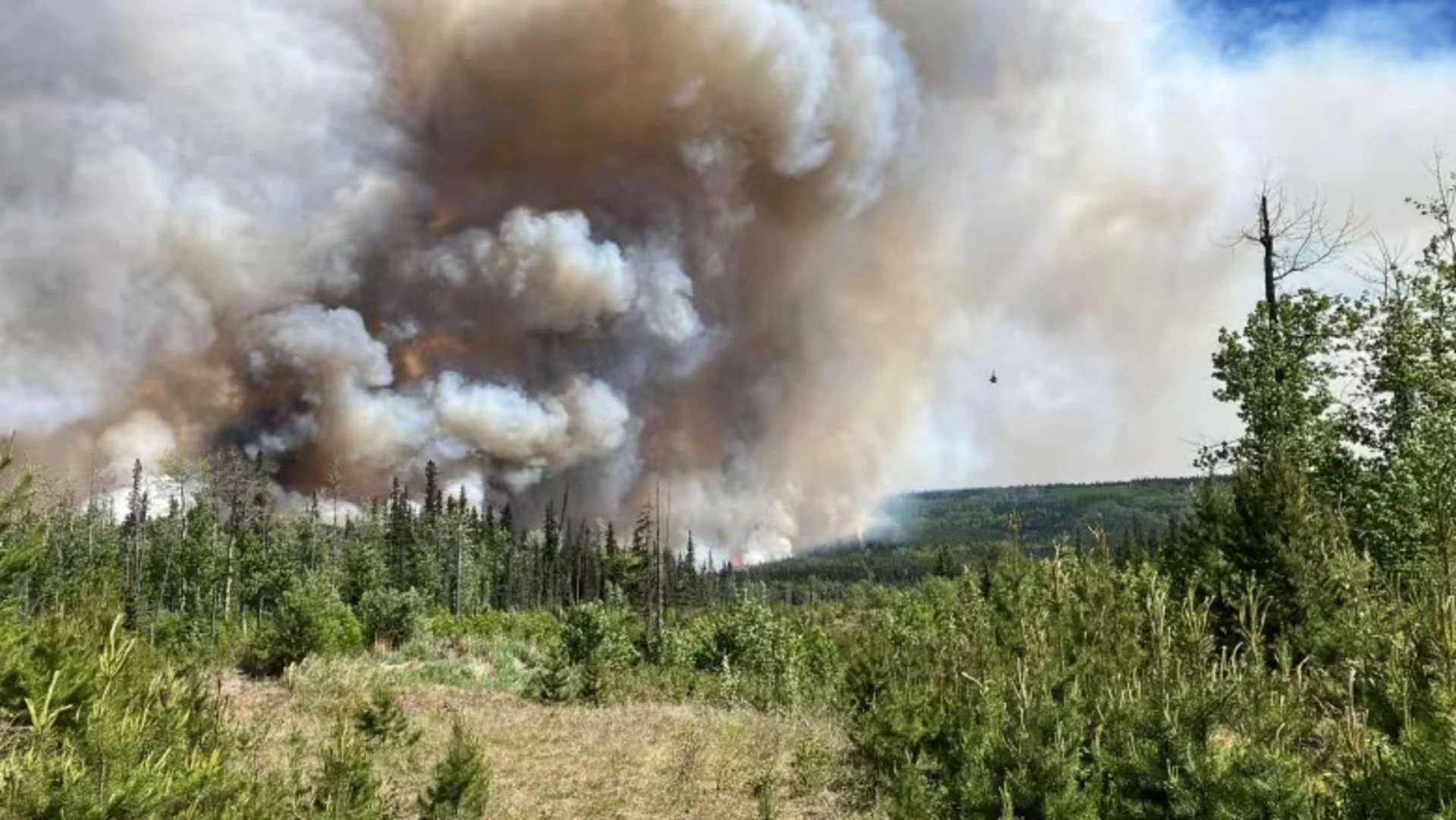 More than 2,000 told to evacuate from B.C.'s Tumbler Ridge due to wildfire