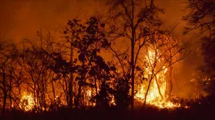  Canada's 2024 wildfire season shaping up to be second-worst in 20 years