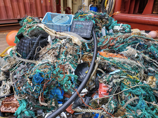 Majority of trash in Great Pacific Garbage Patch linked to just five ...