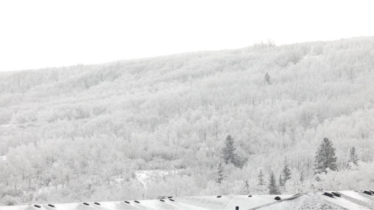 Warm winds finally end Alberta’s epic rime ice event - The Weather Network