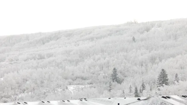 Warm winds finally end Alberta’s epic rime ice event - The Weather Network