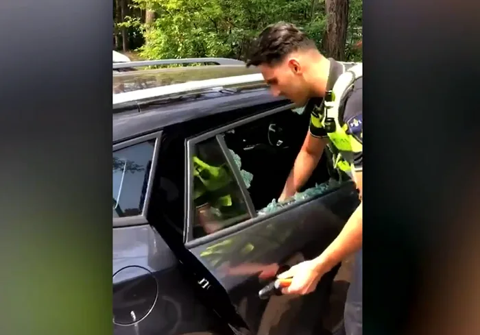 Dutch police smash car window to free trapped dog