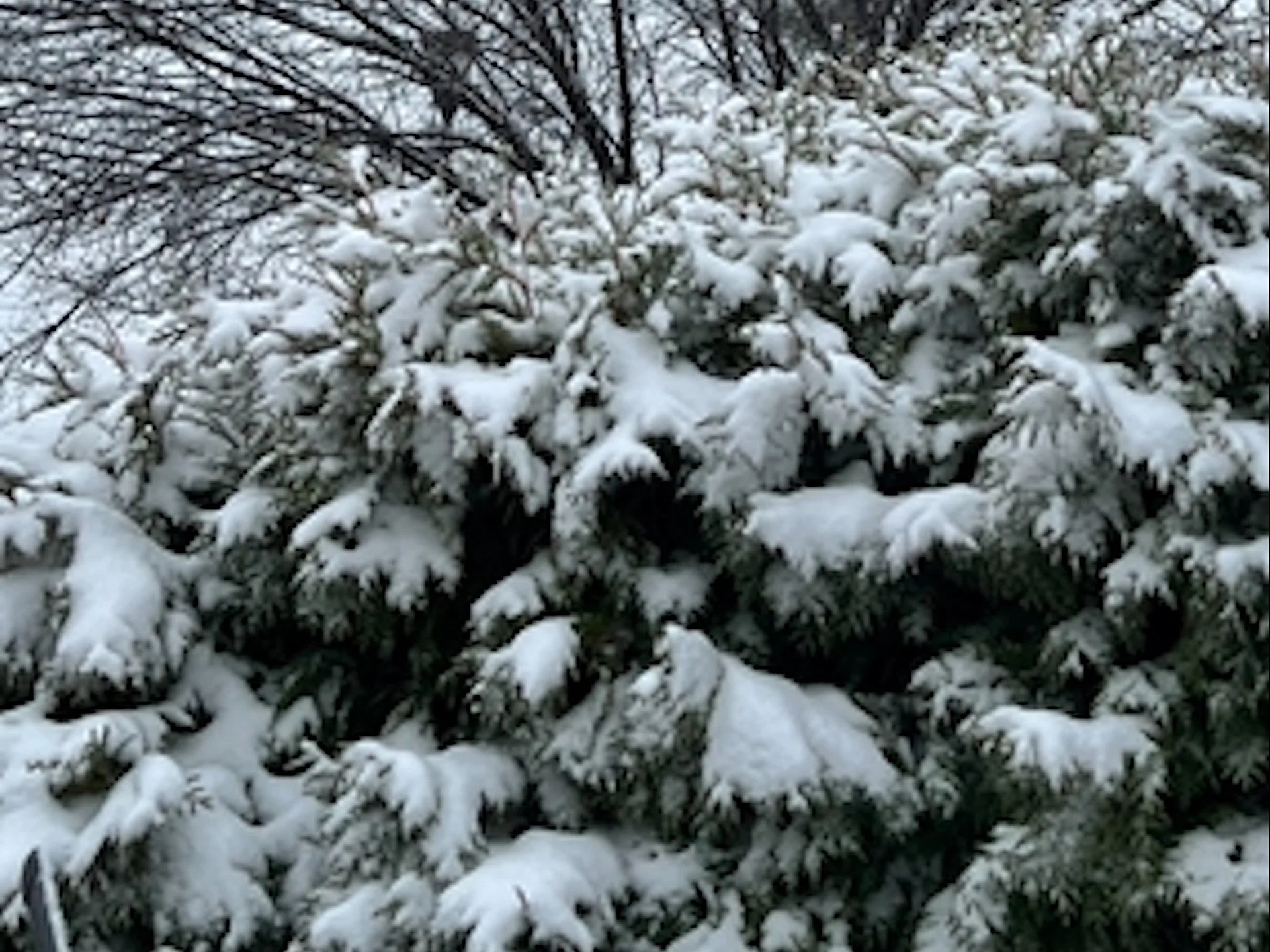 Snow threat continues on the eastern Prairies, travel delays expected