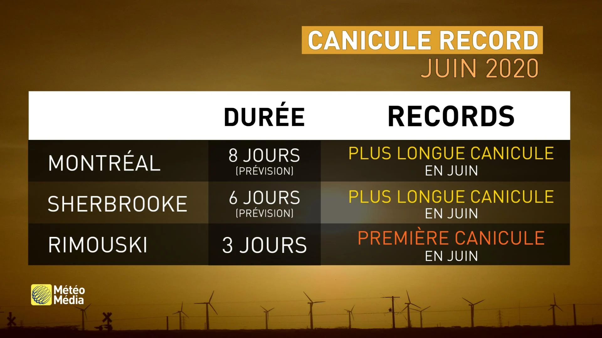 RECORDS CANICULE