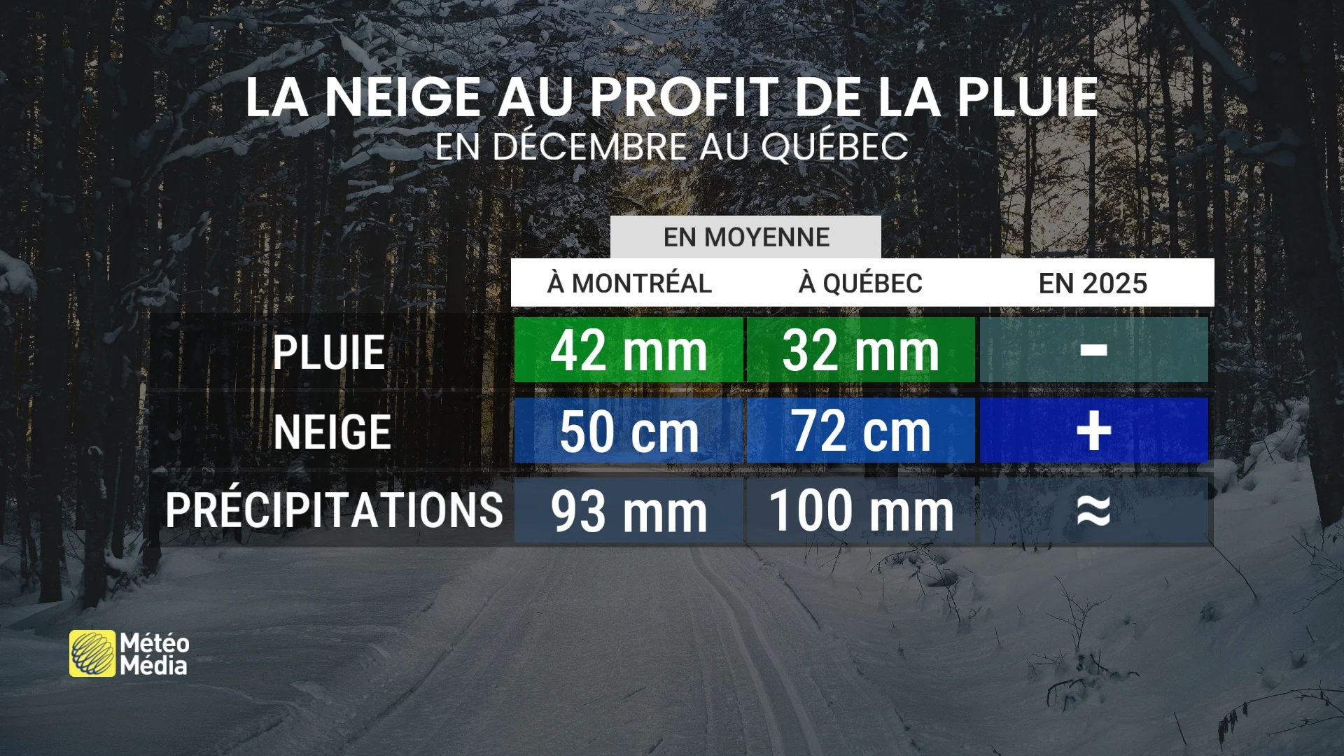 Aperçu des précipitation décembre