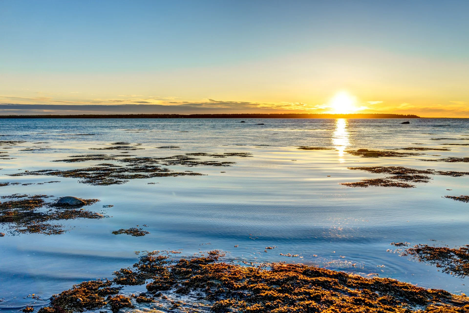 L’estuaire maritime du Saint-Laurent est à bout de souffle