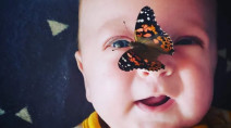 Woman sells thousands of caterpillars as raise-and-release butterflies