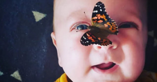 Woman sells thousands of caterpillars as raise-and-release butterflies