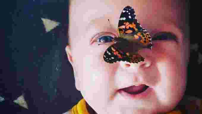Raise and release butterflies/Submitted via CBC