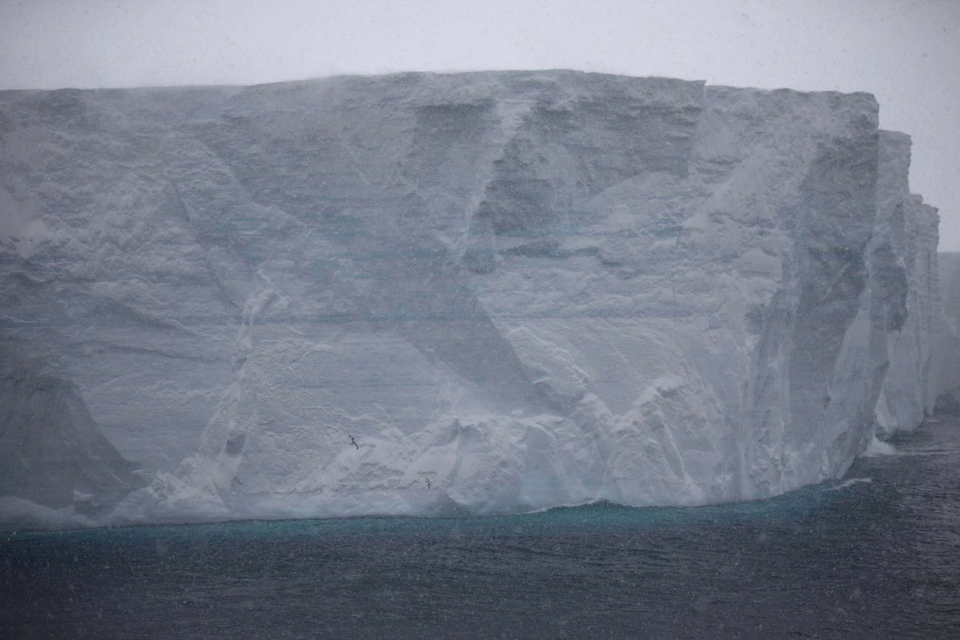 Giant A-68a iceberg released 152 billion tons of freshwater into the ocean