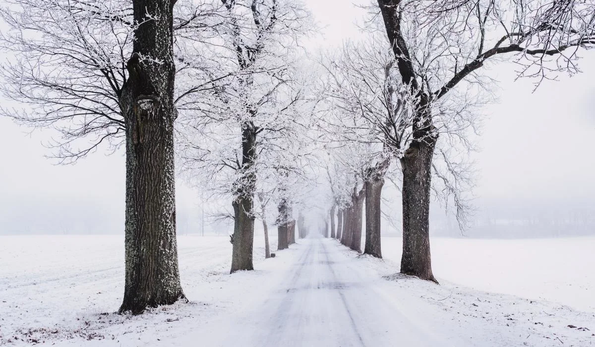 Est-ce que décembre va ouvrir la porte aux tempêtes ?