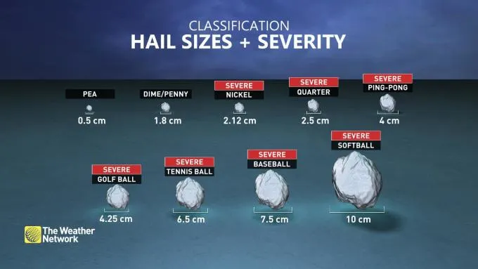 (BARON) Hail size comparison chart