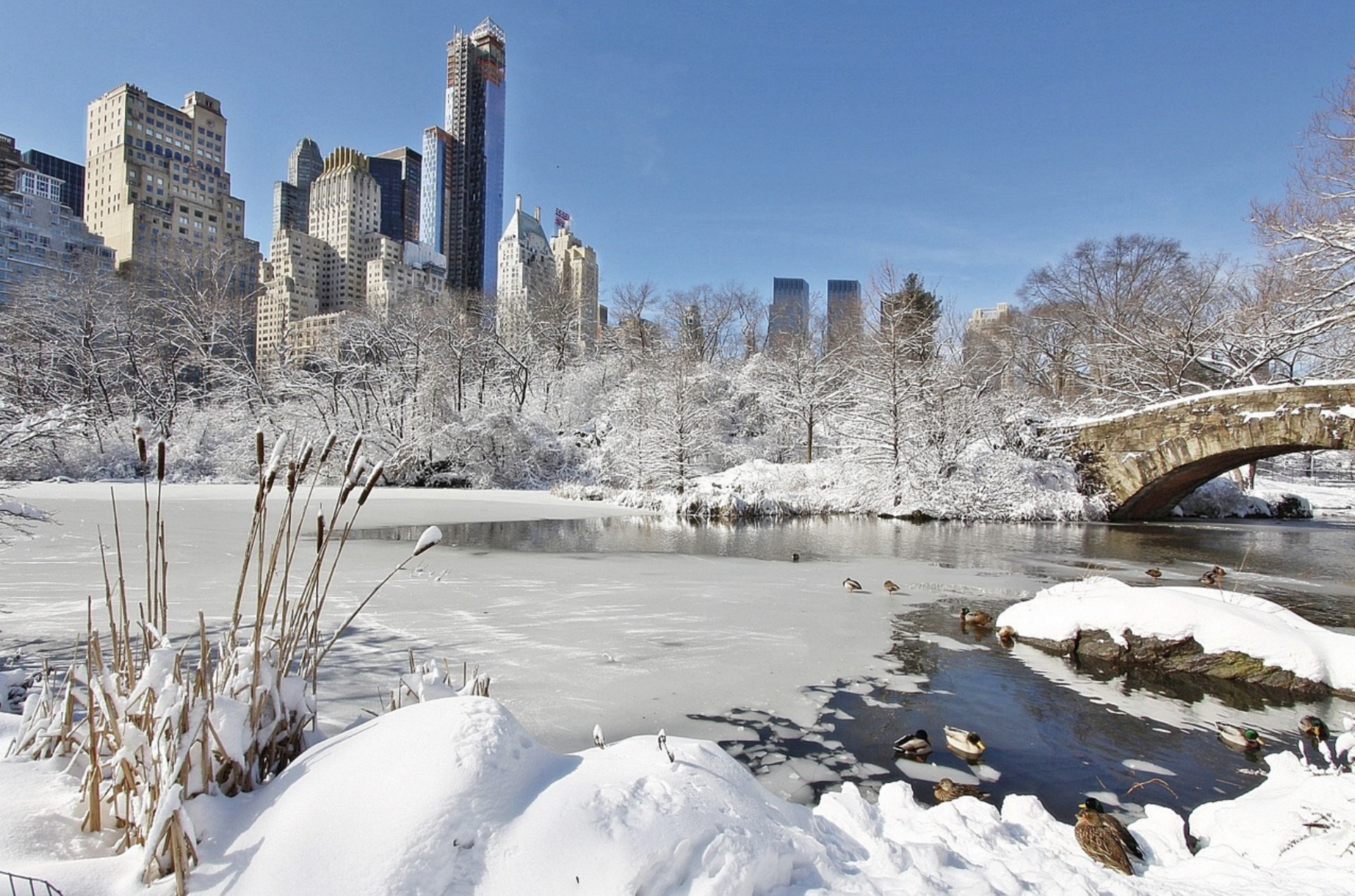 New York City breaks 701-day snow drought