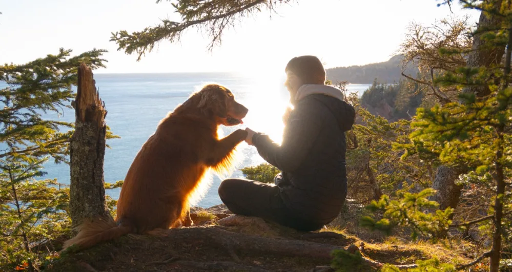 Hurricanes and tsunami warnings can't stop this inspiring hiking duo