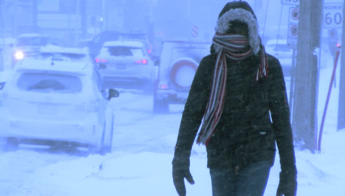 Climate change responsible for extreme cold during the winter •