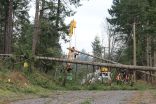 'Perfect storm' for power outages brewing in B.C., hydro report says
