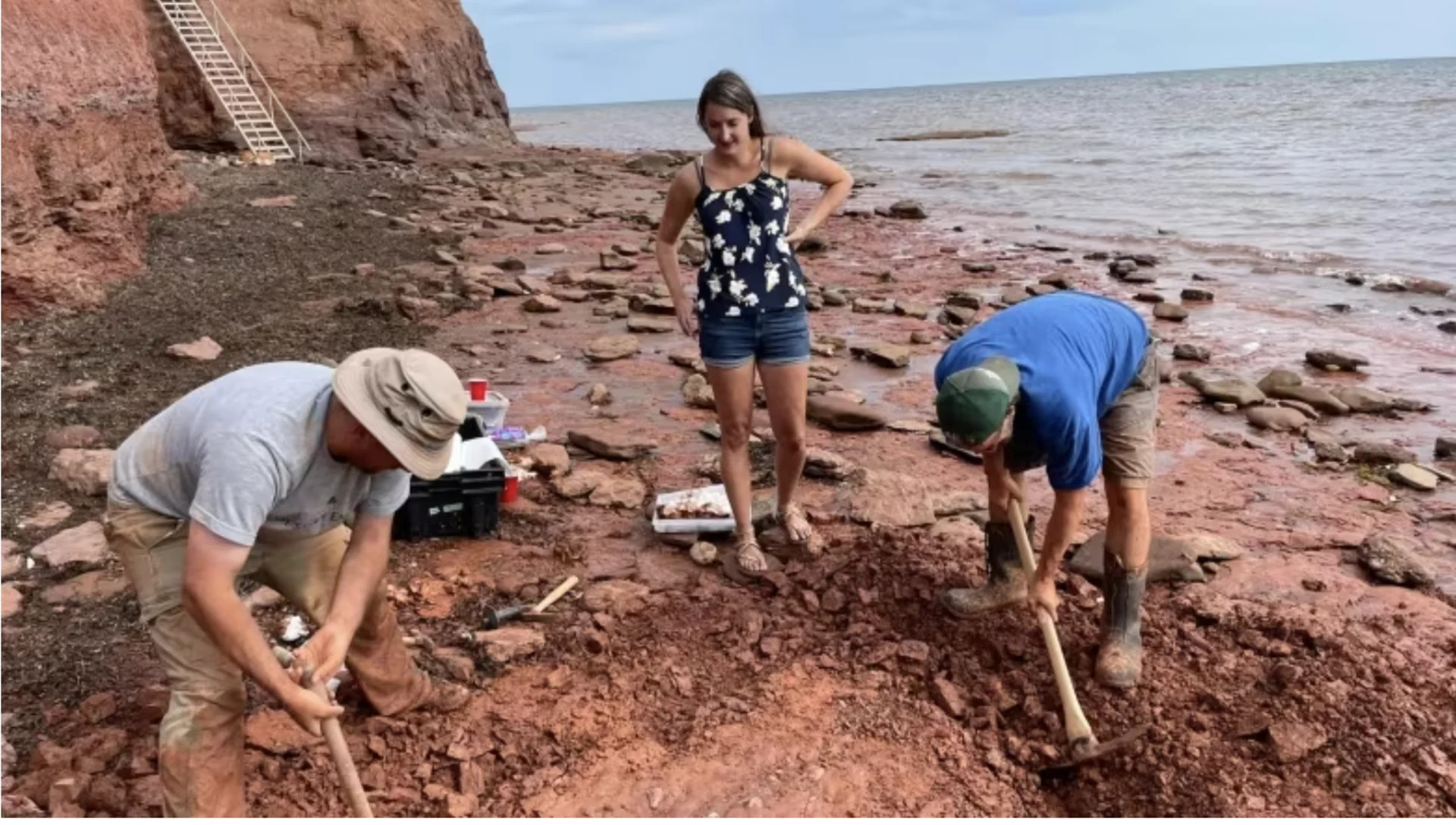 P.E.I. storms and erosion reveal treasures — but also wash some of them away