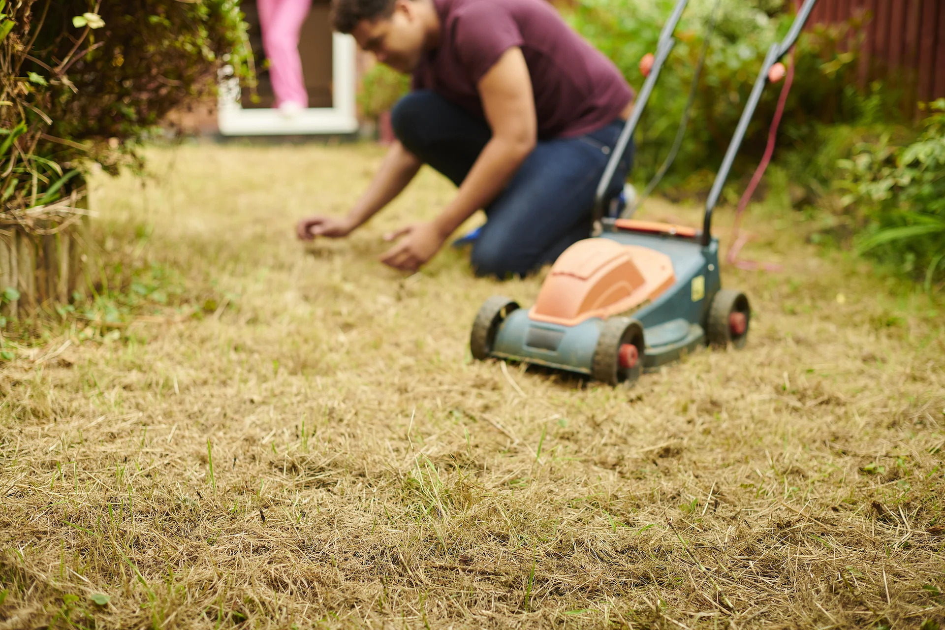 Dry lawn/Getty Images-1352202509