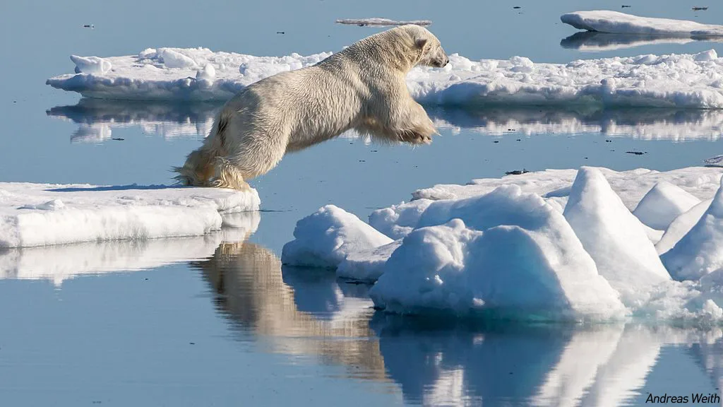 Arctic Sea Ice Day punctuated by lowest ice extent on record