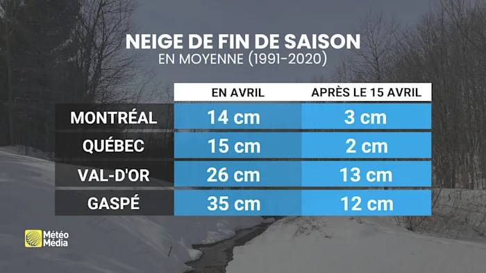 NEIGE4 (2)