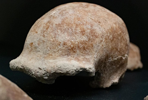 The Weather Network - 'Extraordinary': Fossils of nine Neanderthals unearthed in Italy cave - Vimarsana News