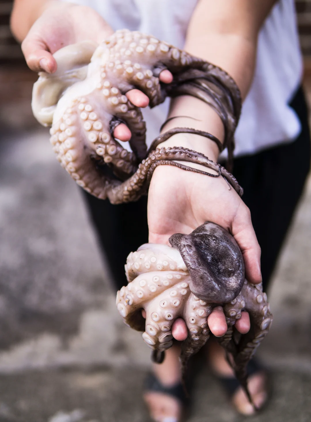 Woman hospitalized after selfie with octopus goes wrong - The Weather ...