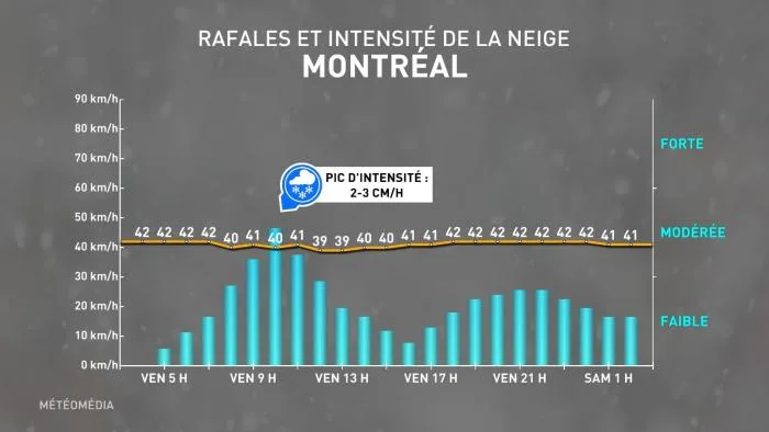 TEMPETE 3