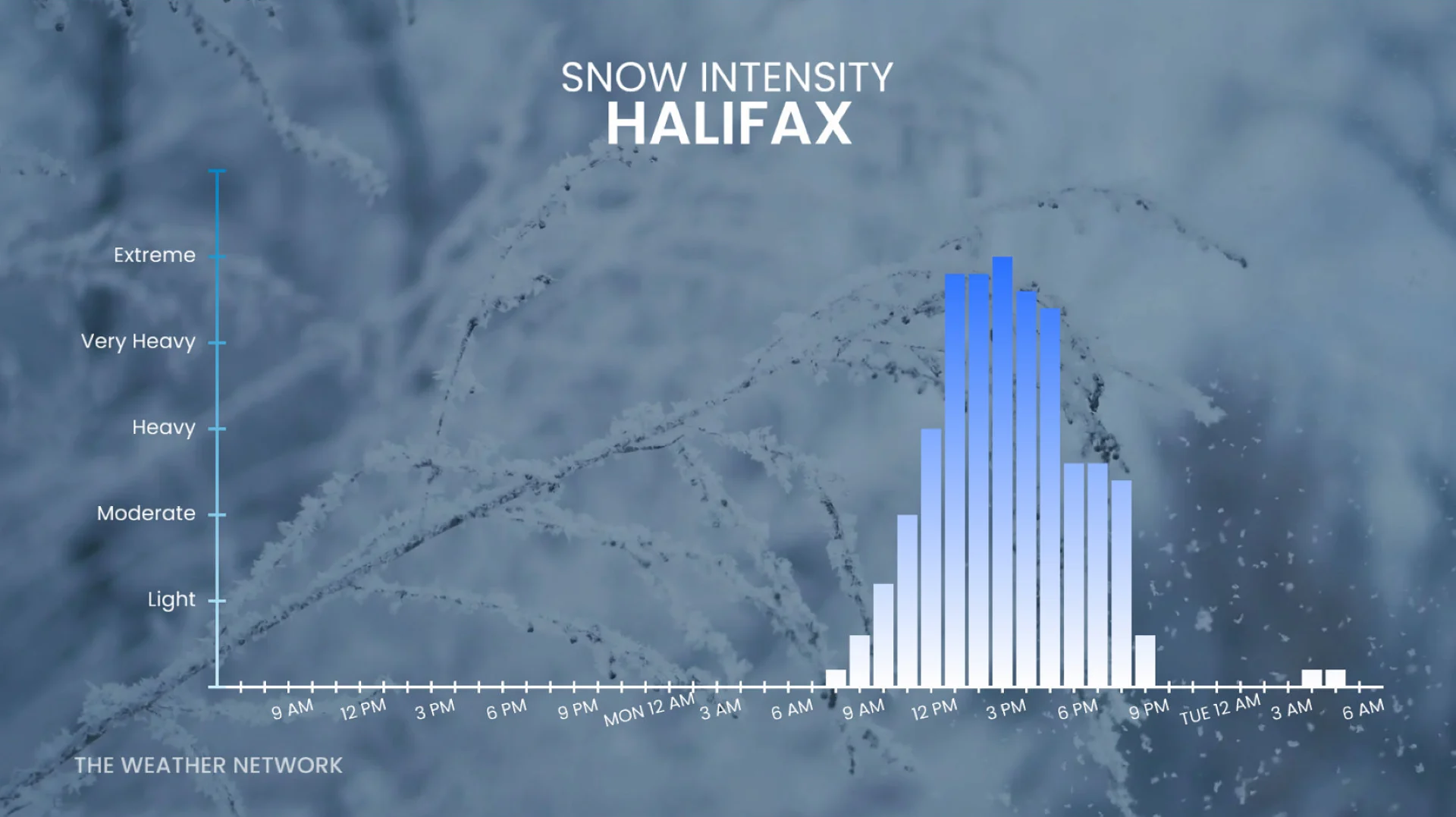 Halifax, N.S., heavy snowfall intensity