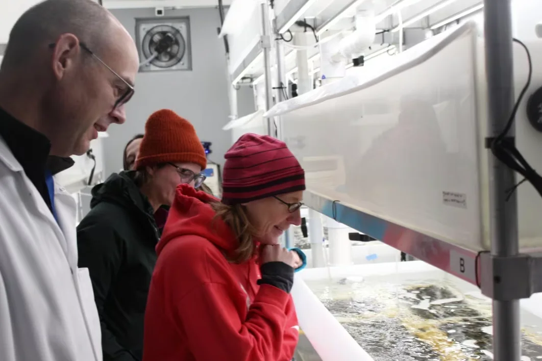 CBC: The people involved in the green gravel project inspect the kelp in the mobile laboratory. (Moira Donovan)