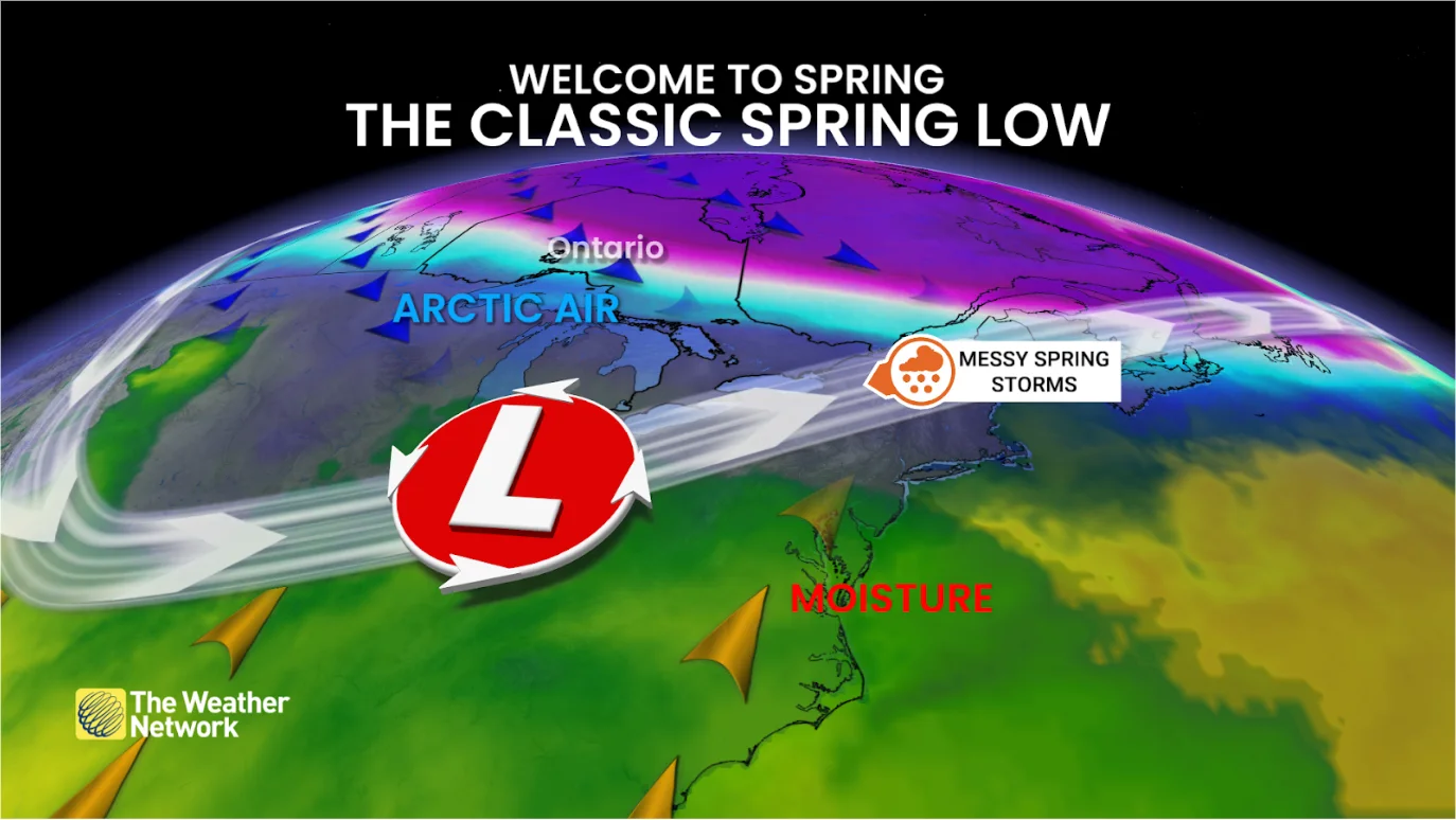 Spring: Classic Spring Low explainer