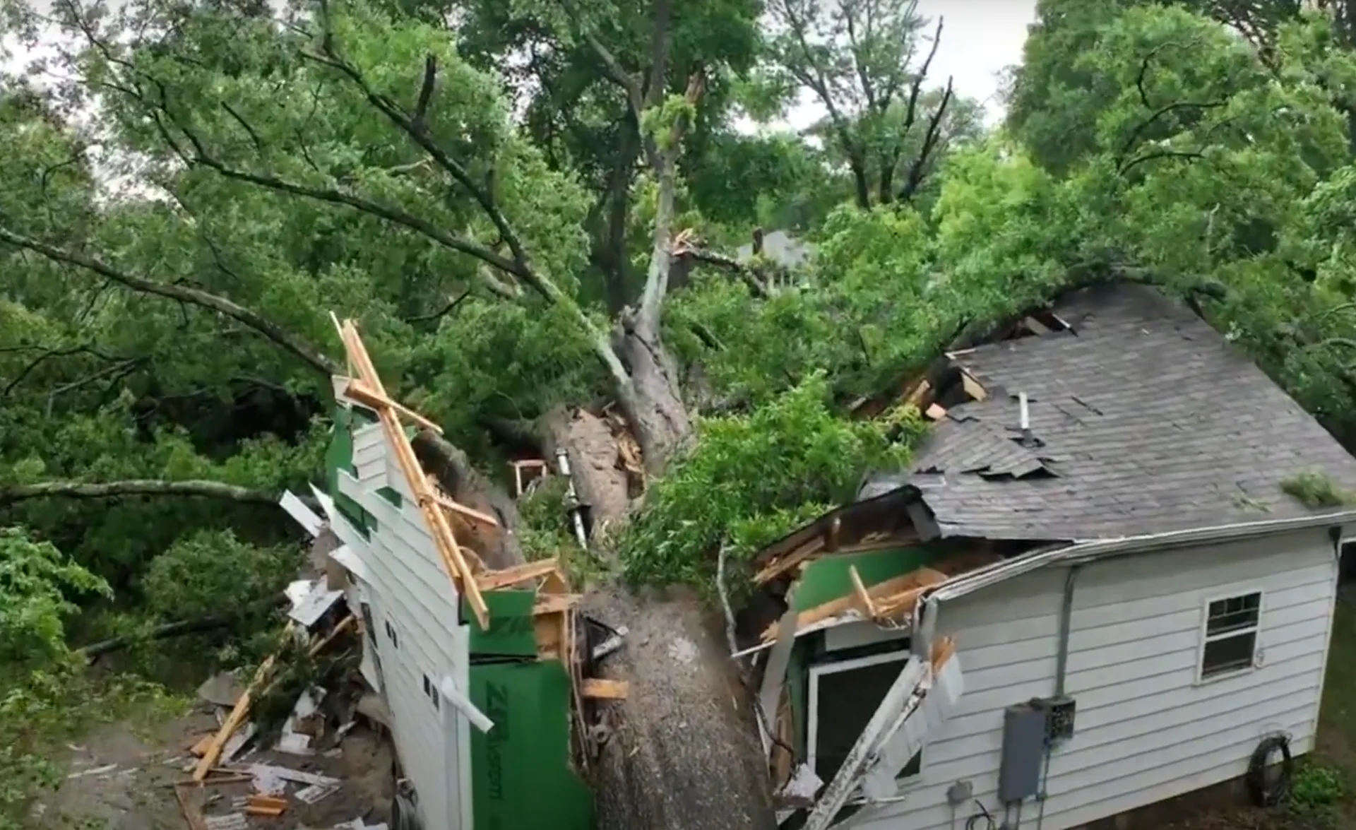 Un arbre de 600 ans détruit une maison