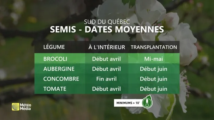 7 JOURS 5