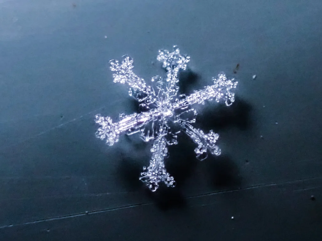 Snowflake 5: Courtesy of Kyle Brittain