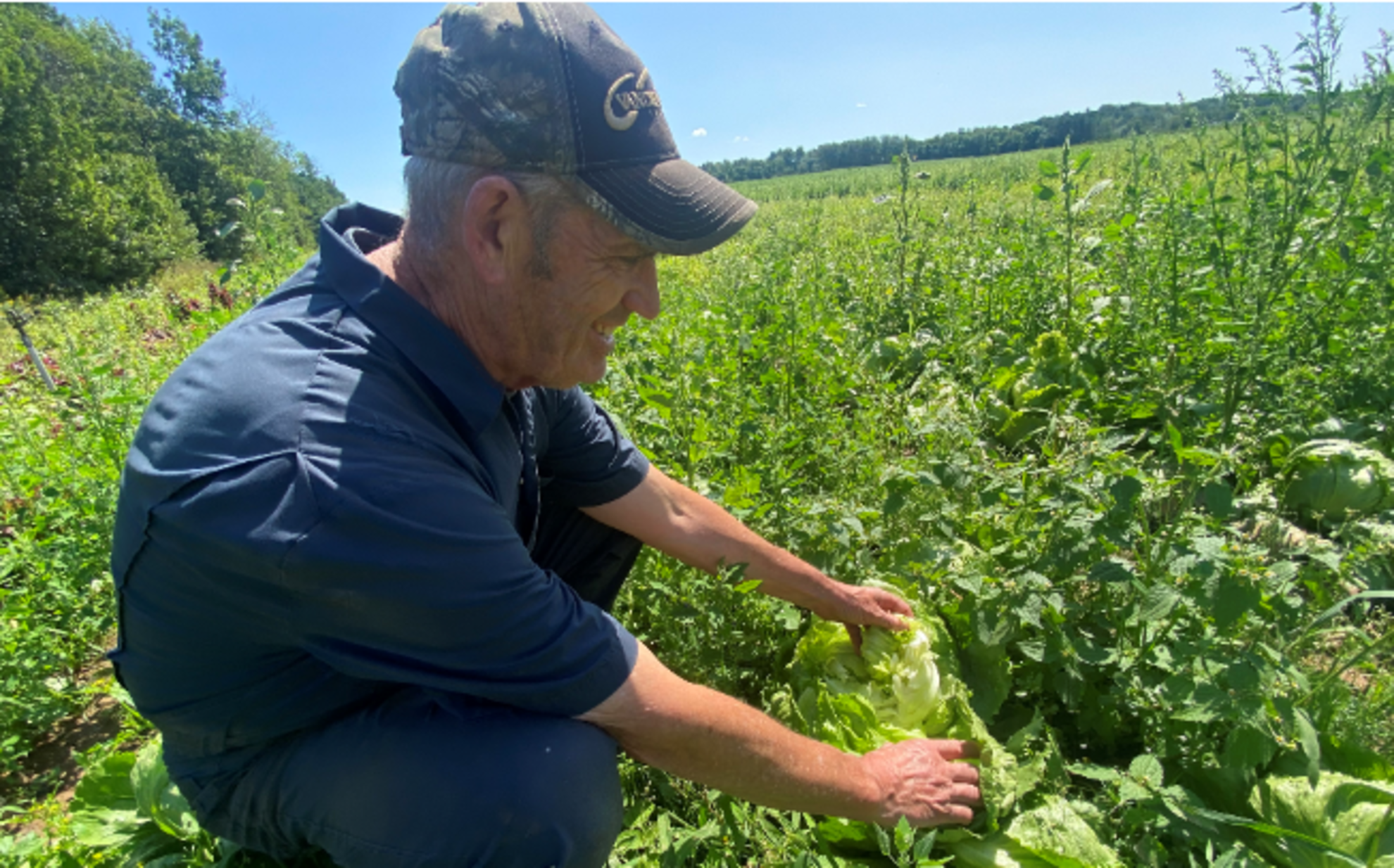 Nova Scotia farmers struggle against a year of extreme weather events