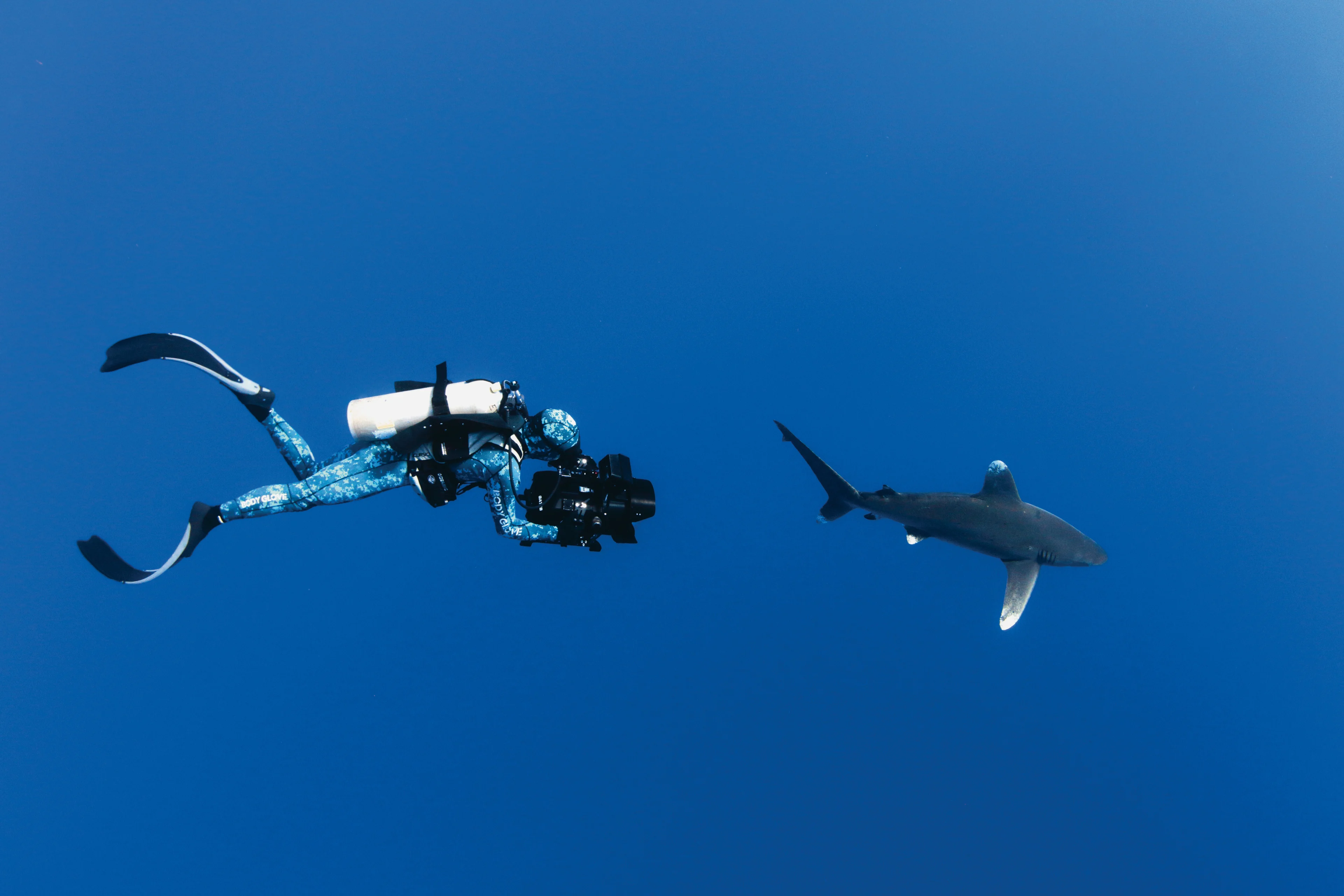 Sharkwater Extinction Rob Stewart Filming Oceanic White Tip Shark