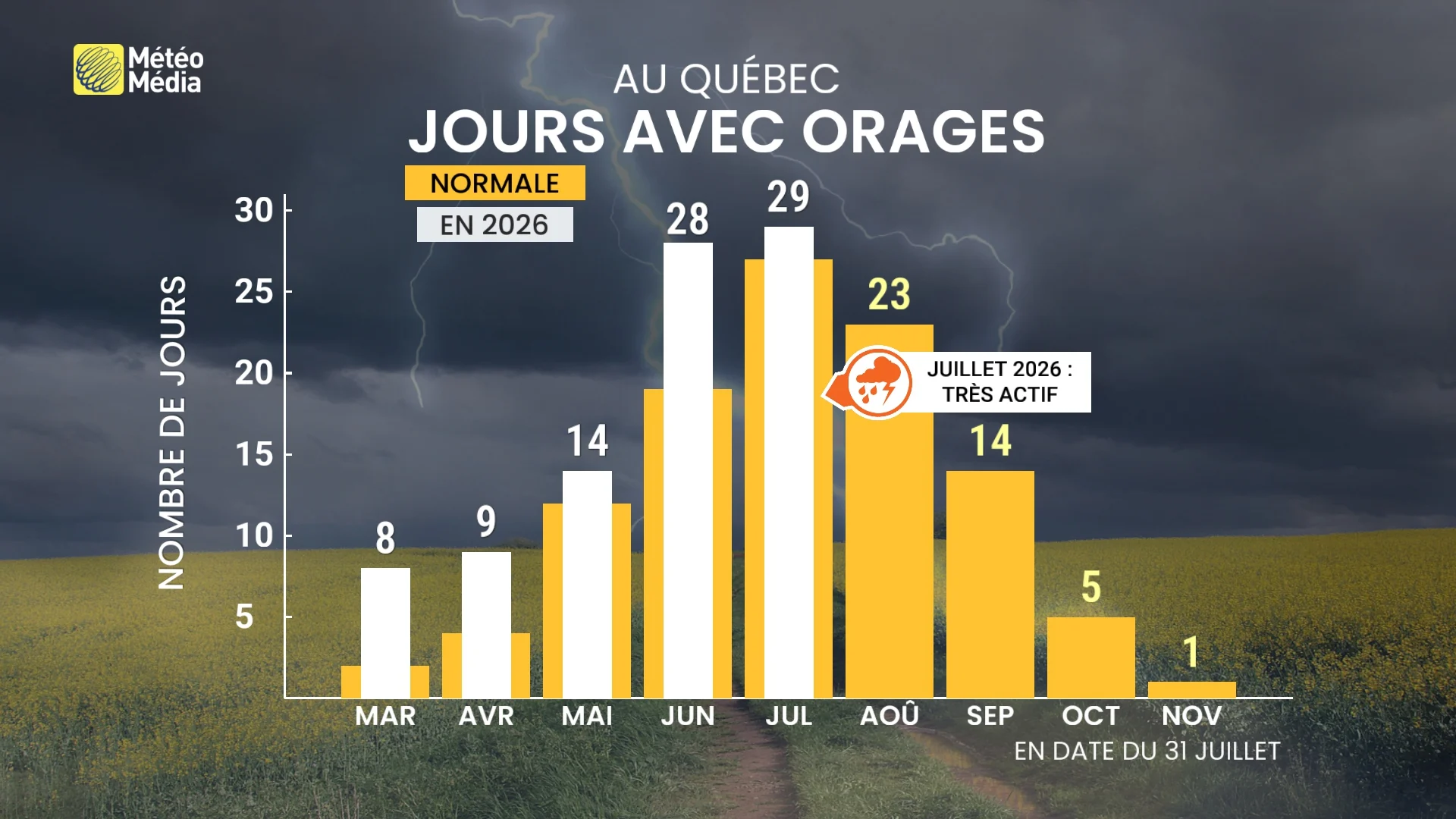 PLUIE3