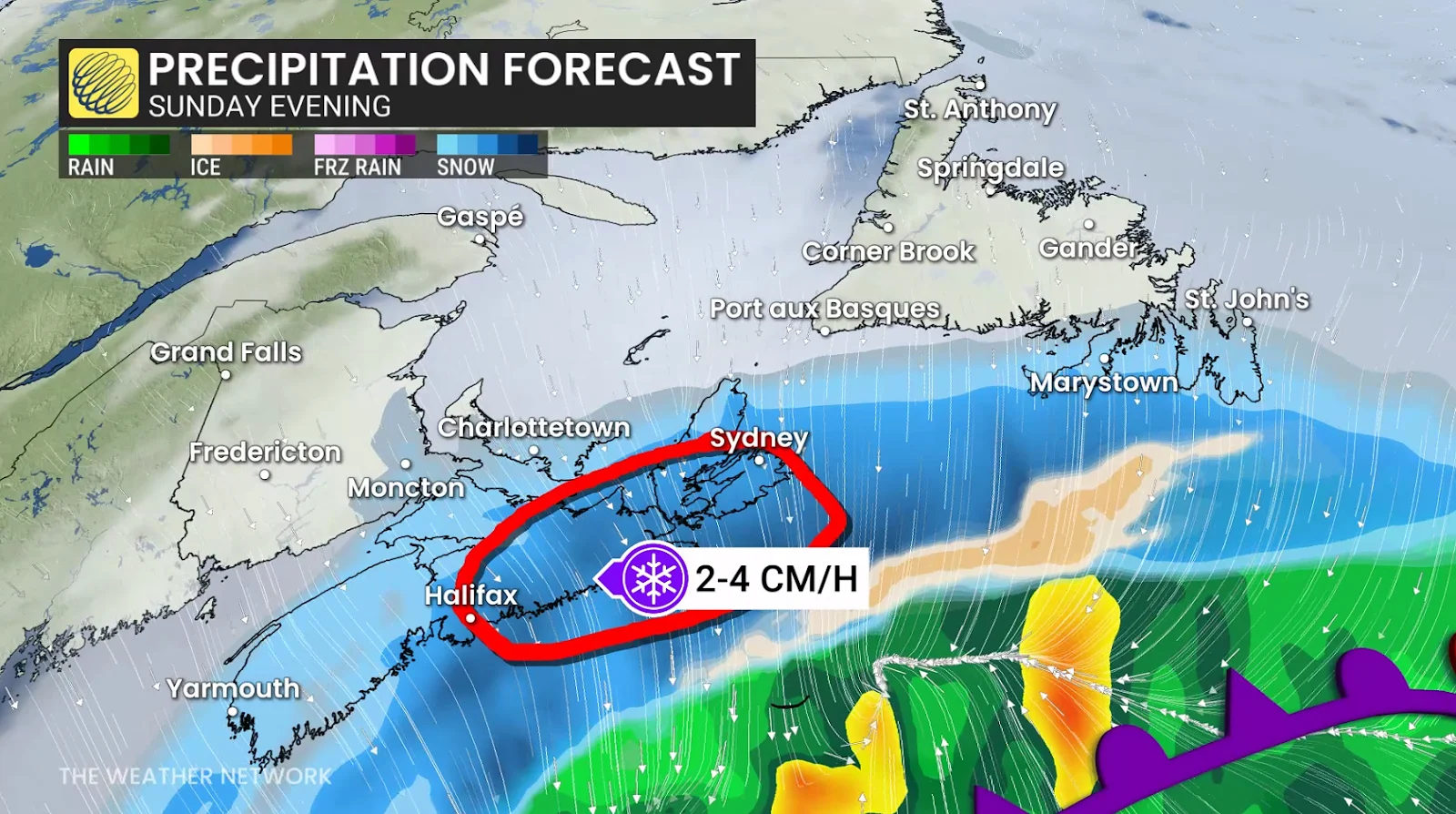 Atlantic Canada, Snowfall, Snow, Storm, Blizzard, Cold. Whiteout, Feb. 01, 2026. (The Weather Network/Tyler Hamilton)