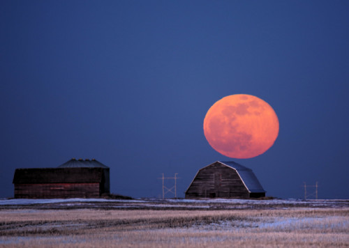 Большая оранжевая луна. Оранжевая Луна. Оранжевая Луна сегодня. Оранжевая Луна фото. Оранжевая Луна реальные фото.