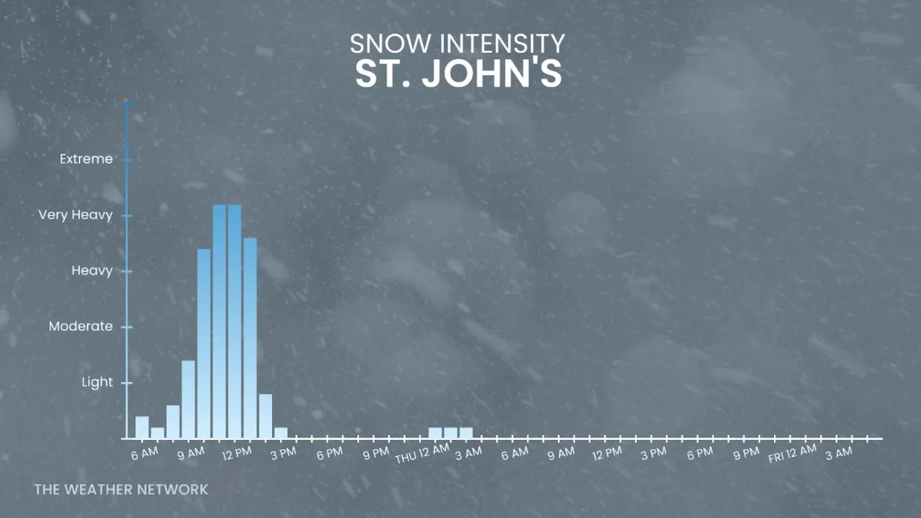 Forecast snow intensity in St. John's through Wednesday - March 4, 2026
