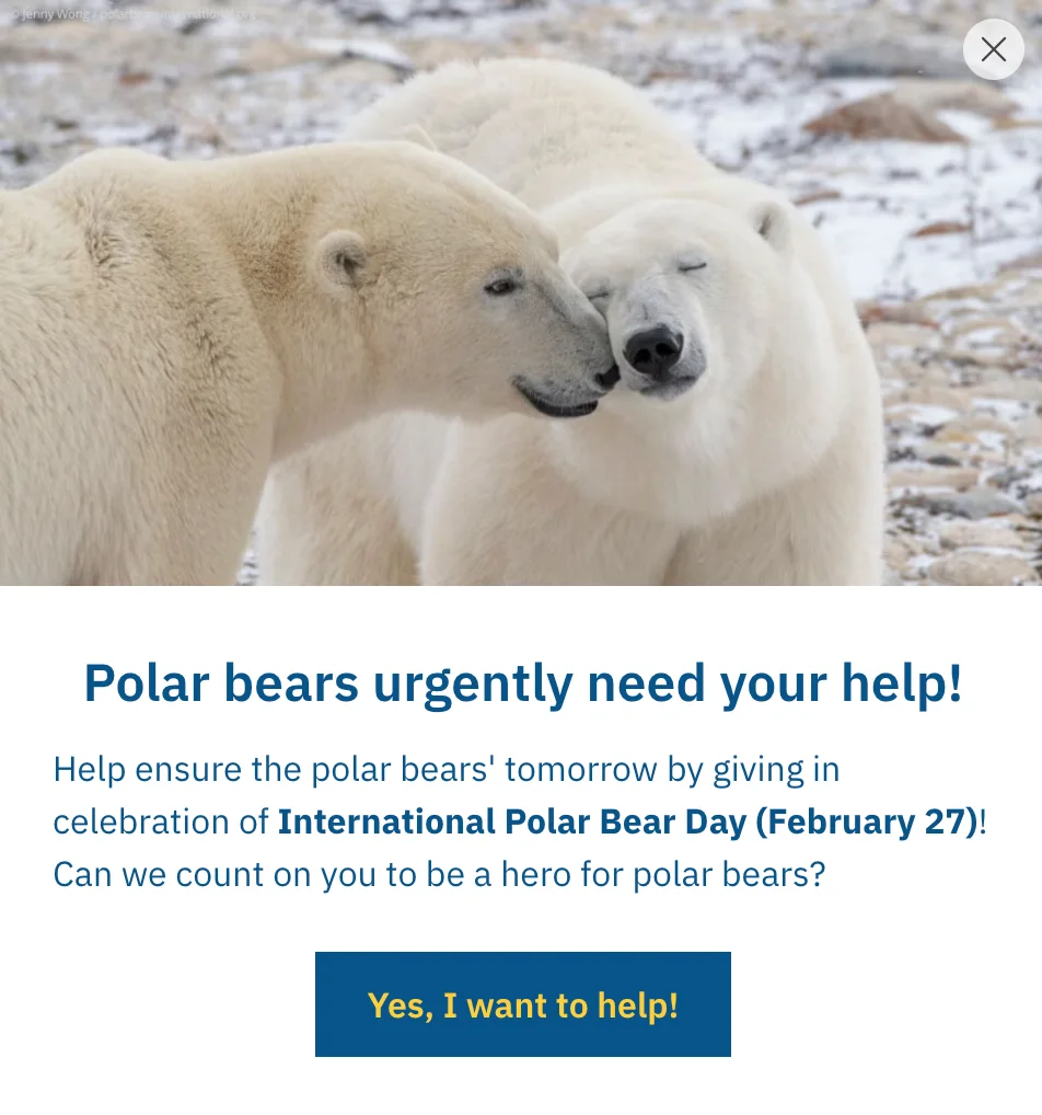 Screenshot: https://polarbearsinternational.org/act-now/awareness-events/international-polar-bear-day/