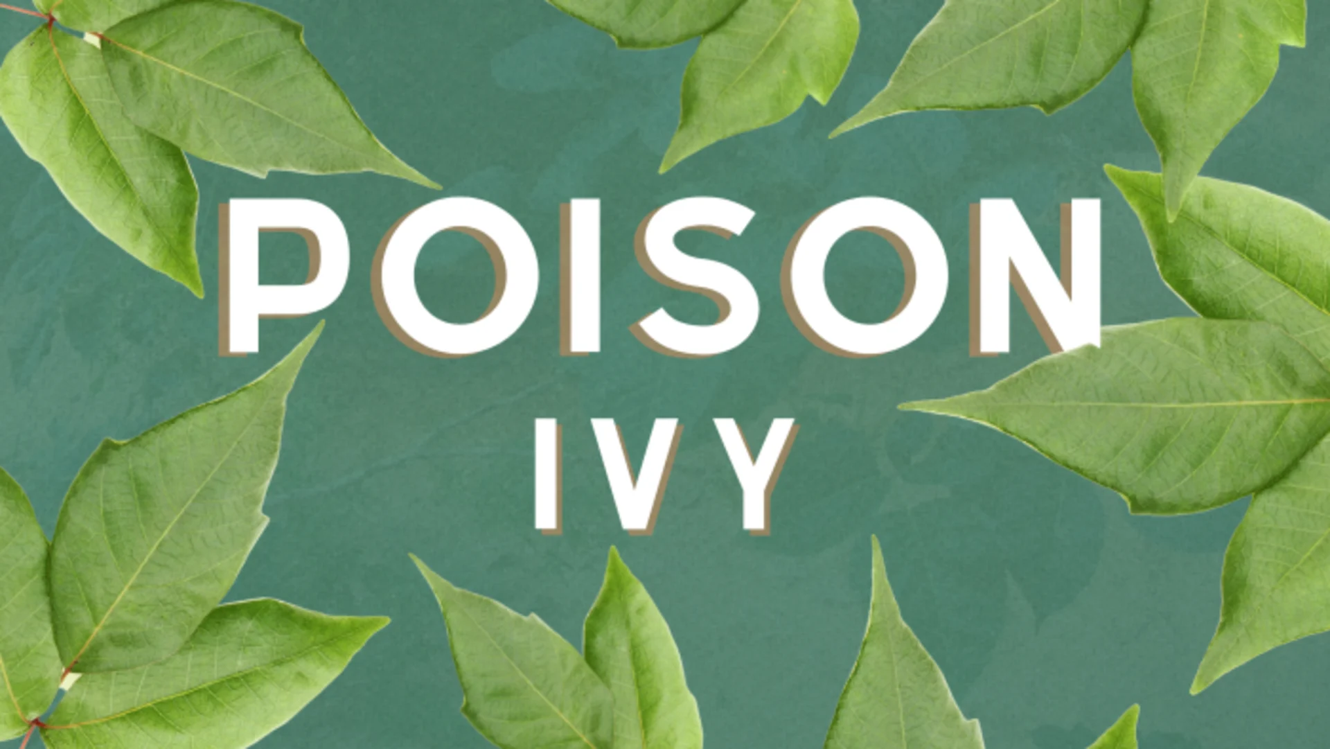 Can you spot poison ivy? Here are five key giveaways