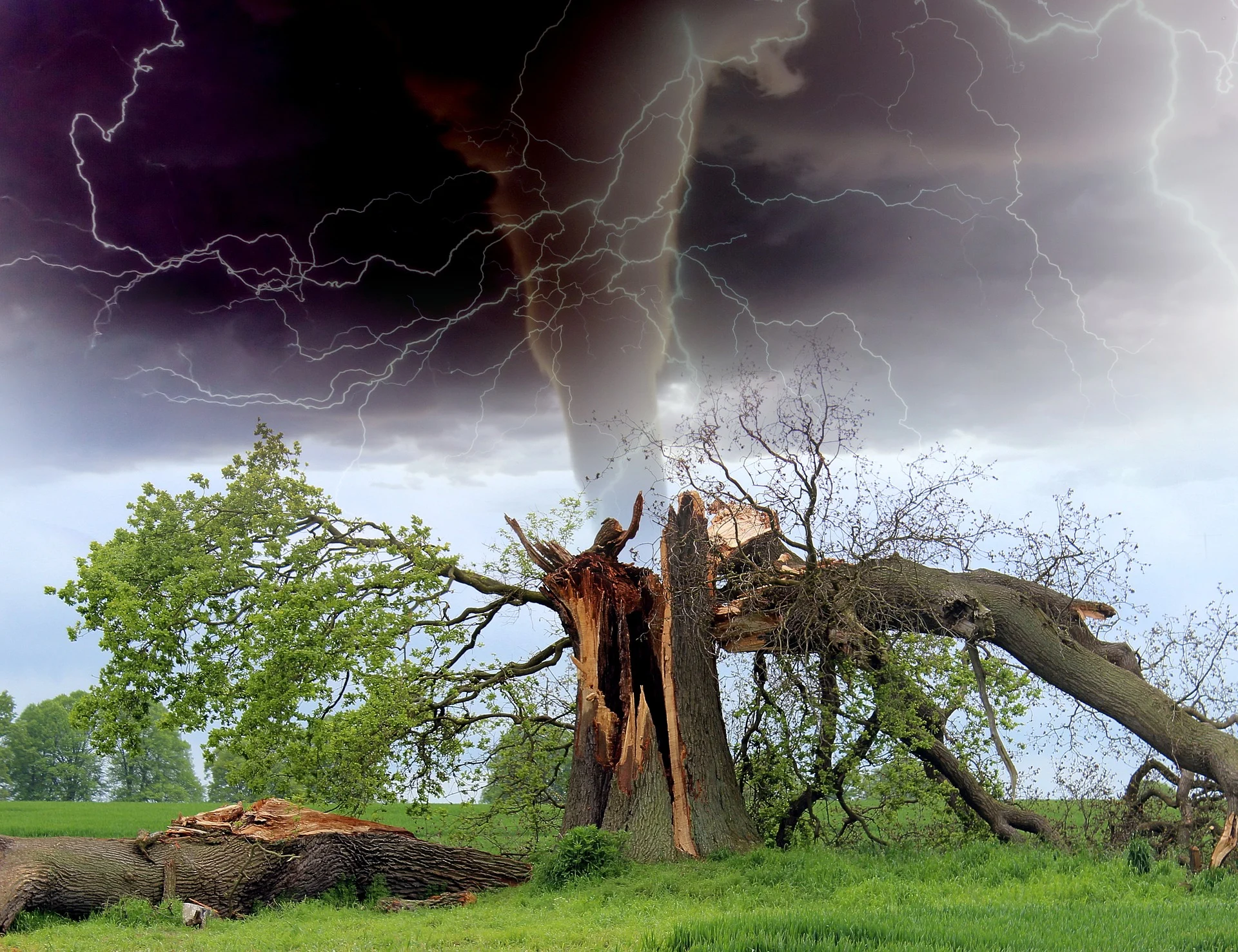 Tornade ou microrafale? Voyez la différence