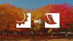 Aperçu de l’automne : cette baisse du mercure pourrait être une fausse piste. Détails ici.