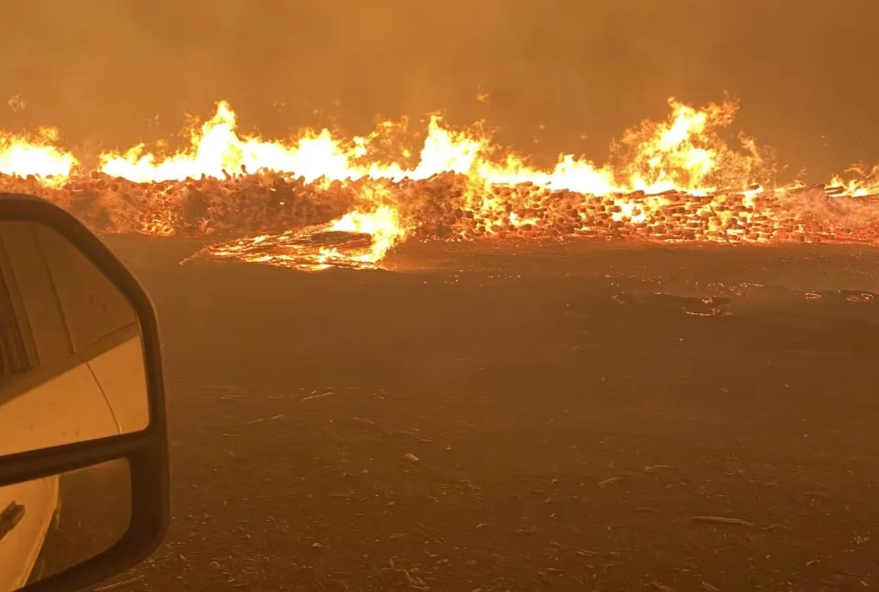 Wildfire/Sandra Lester via CBC