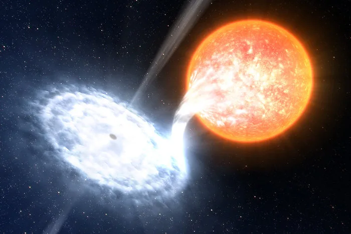 Black-hole-Red-Giant-binary-star-eso0836a-ESO-LCalçada