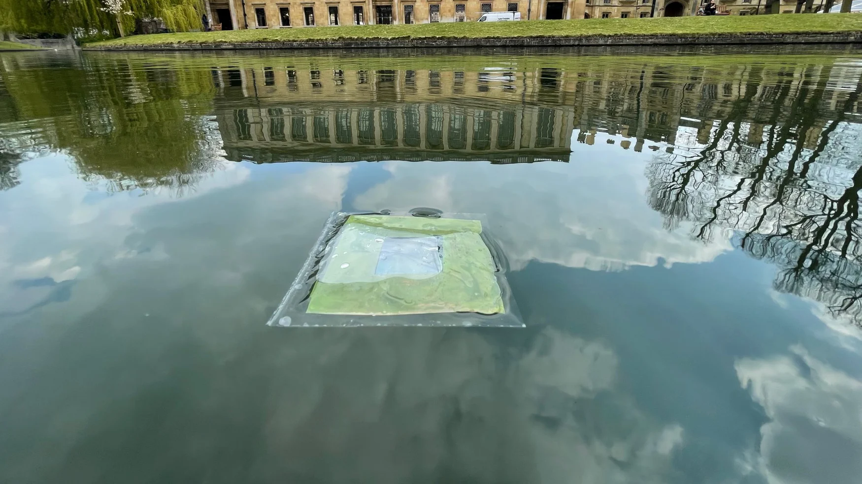 These floating artificial leaves could one day generate fuel out at sea