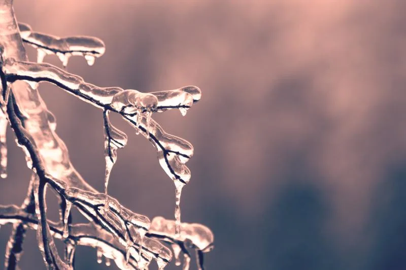 L'année s'amorce avec un choc thermique